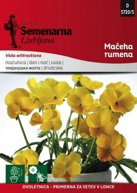 Seme za cveće 10 kesica Dan i noć - žuti - Viola wittrockiana 5720/5