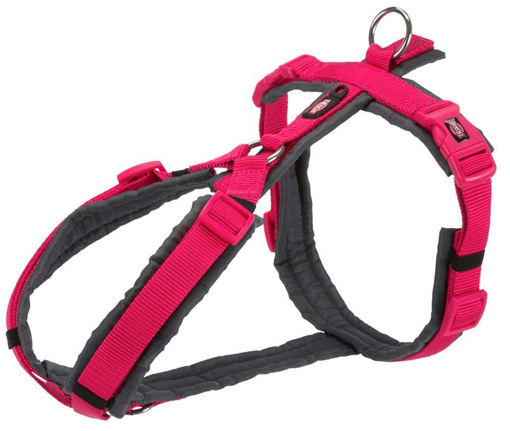 Am pojas za šetnju za pse veličina S-M Premium Trekking fuchsia/graphite Trixie 1997111