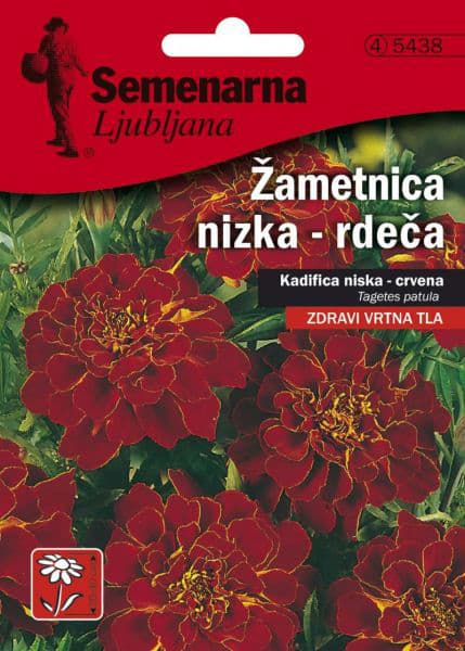 Seme za sadnju 10 kesica - cveće Kadifa niska - crvena - Tagetes patula 5438