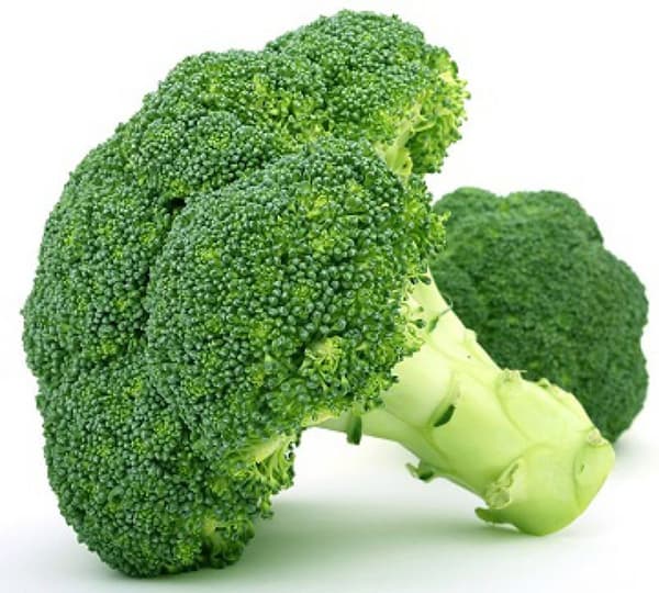 Seme za Brokoli Corvet 10 kesica Villager 003597