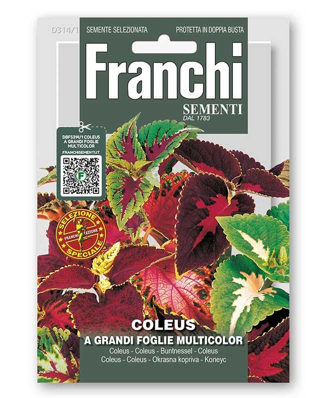 Ukrasna kopriva - Koleus - seme 5 kesica Franchi Sementi Virimax