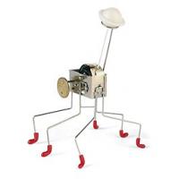 Roboti� Oahaca 1507