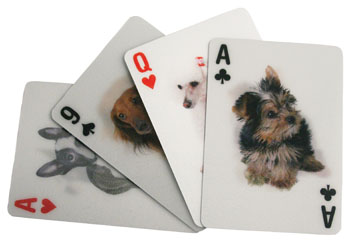 Slike karata za poker