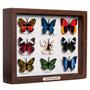 Pushpin Collection