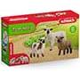 Kliknite za detalje - The View - Puzzle - 3000P/33007