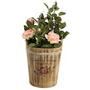 Kliknite za detalje - �ardinijera od Drveta La Boutique De Fleurs
