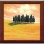 Yellow Field - 49x49