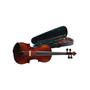Stagg VN 1/4 �kolska violina