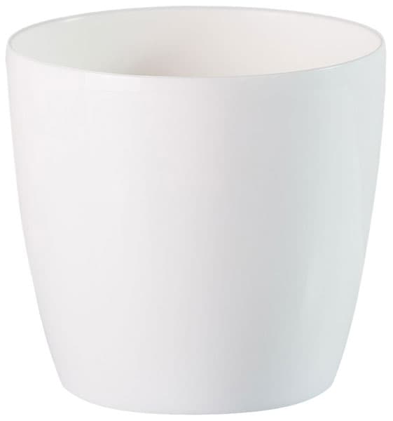 Saksija Stars 30 bela