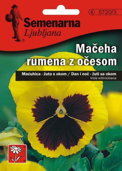 Cveće Dan i noć - žuti sa okom - Viola wittrockiana 5720/3