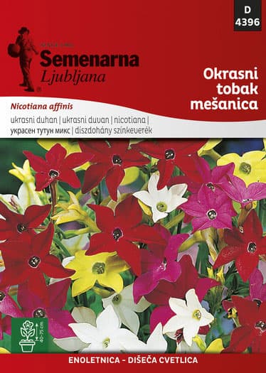 Seme za cveće Ukrasni duvan - mešavina - Nicotiana affinis 4396