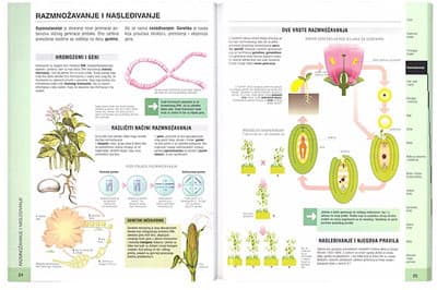 Školski botanički atlas