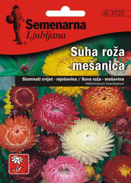 Seme za cveće 10 kesica Suva ruža - mešavina - Helichrysum bracteatum 3720