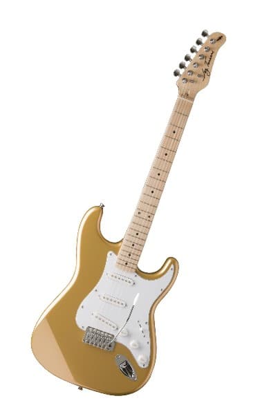 Jay Turser AMS JT 300M SHG električna gitara