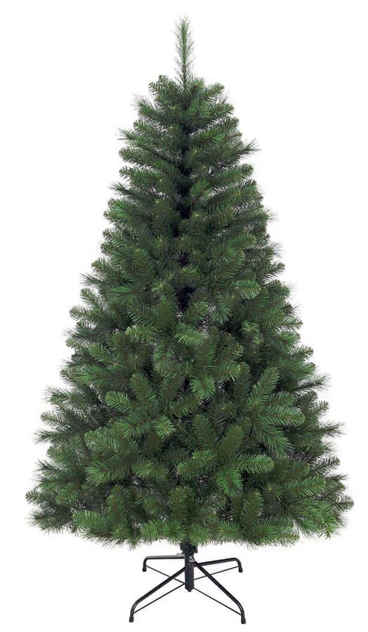 Novogodišnja Norveška Jelka 155 cm