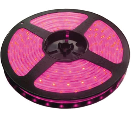 LED traka roze 30 LED / 1m LTR5050/30P-12 5 metara