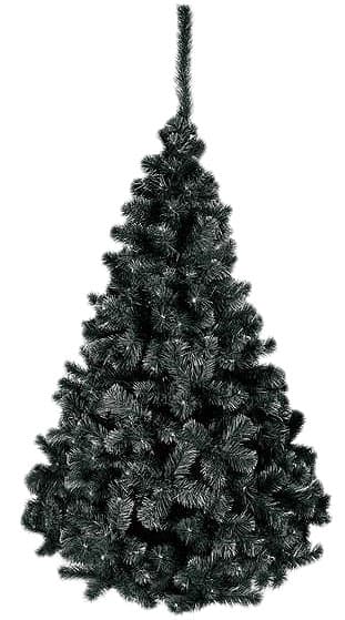 Crna Novogodišnja Jelka - Black Harmony - 150 cm