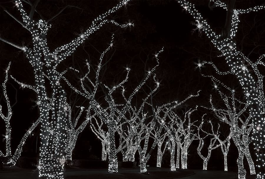 Novogodišnje Lampice LED Za Spoljnu ili Unutrašnju Upotrebu 5 plus 5 m KDK 202