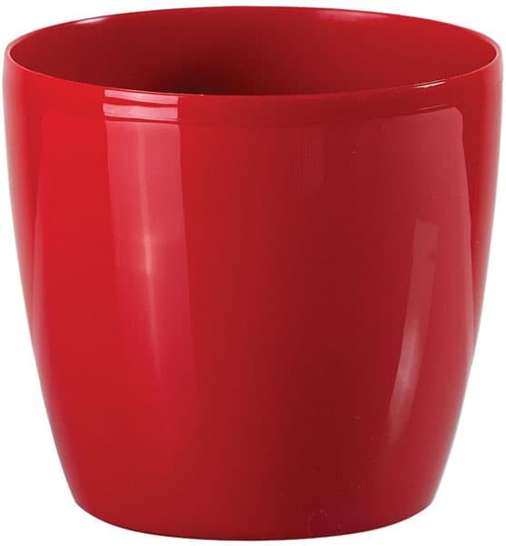 Saksija Stars 30 crvena