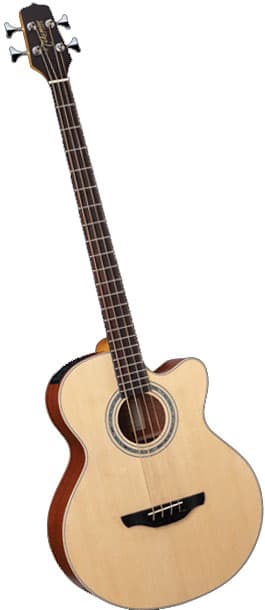 Takamine