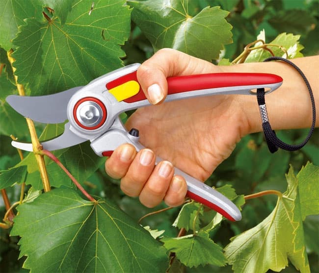 Wolf Garten Profesionalne makaze za orezivanje RR5000