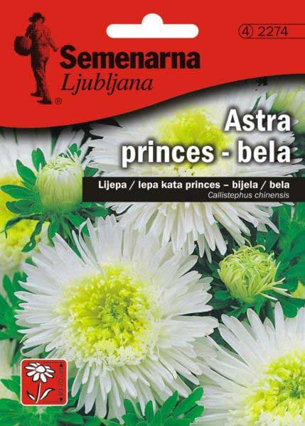 Seme Lepa Kata Princes - bela - Callistephus chinensis 2274