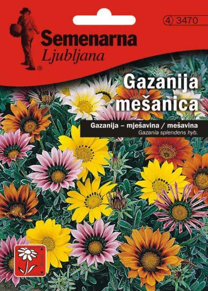 Baštensko cveće Gazanija - mešavina - Gazania splendens hyb. 3470