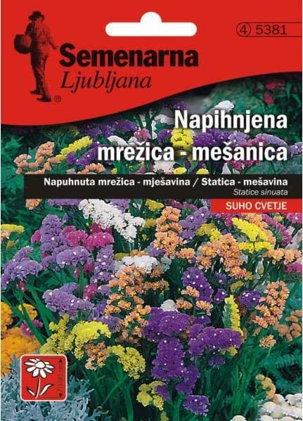 Baštensko cveće Statica - mešavina - Statice sinuata 5381