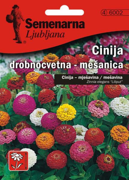 Seme za cveće Cinija elegans Liliput - mešavina - Zinnia elegans Liliput 6002