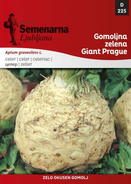 Seme za Celer praški korenaš - Apium graveolens L. 225