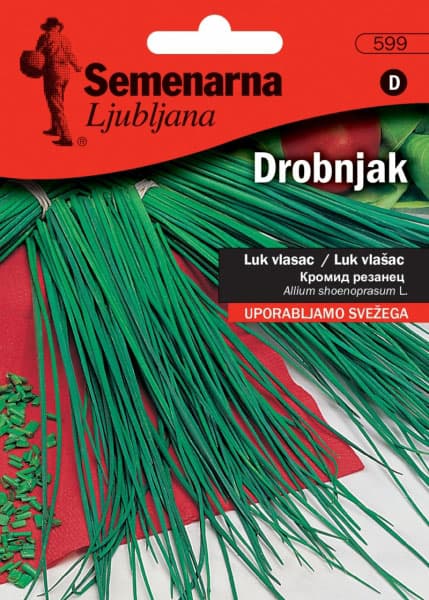 Vlašac - seme - Allium shoenoprasum L. 599