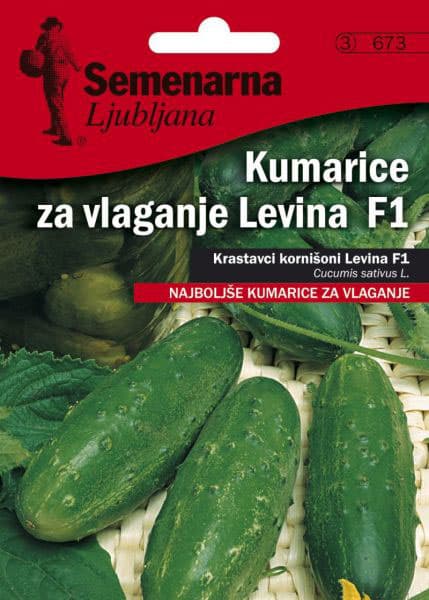 Seme za Krastavčiće Levina - Cucumis sativus L. 673