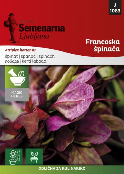 Francuski spanać - seme - Atriplex hortensis 1083