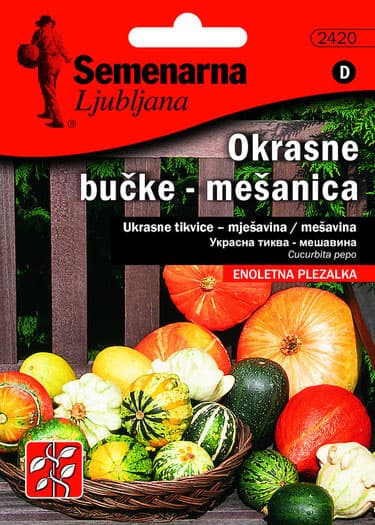 Ukrasne tikve - seme mešavina - Cucurbita pepo 2420