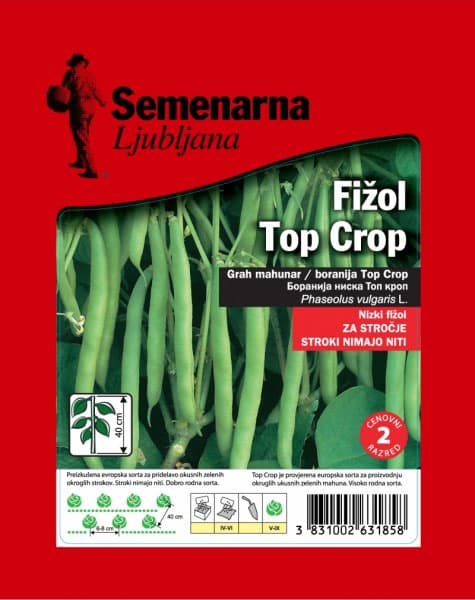 Seme - Boranija top crop - Phaseolus vulgaris L. 80g SE 1734