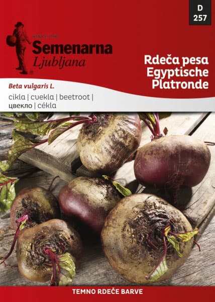 Cvekla egipatska - seme - Beta vulgaris L. var. conditiva 50g