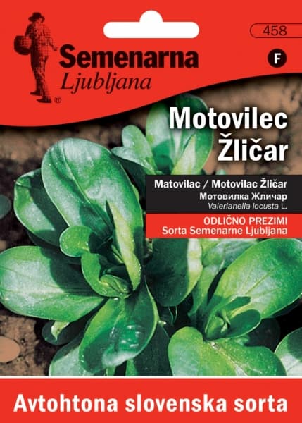 Seme za Matovilac žličar - Valerianella locusta 458