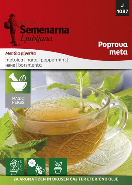 Pitoma nana - Mentha piperita - seme 1087
