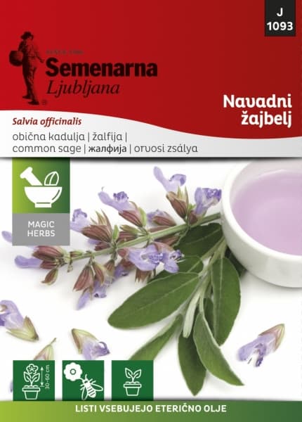Žalfija - Salvia officinalis - seme 1093