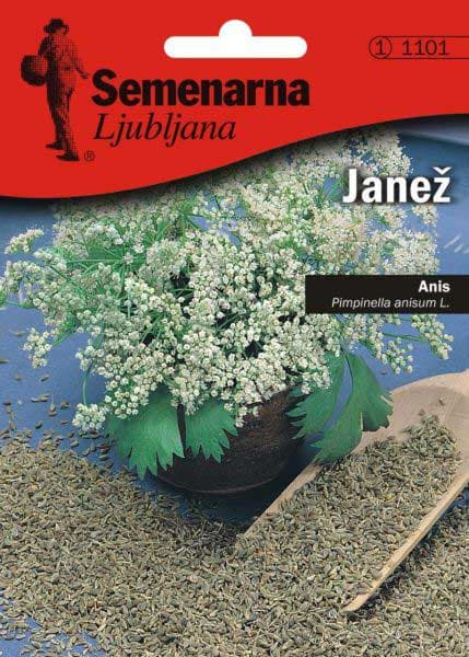 Seme za začin - Anis - Pimpinella anisum L. 1101