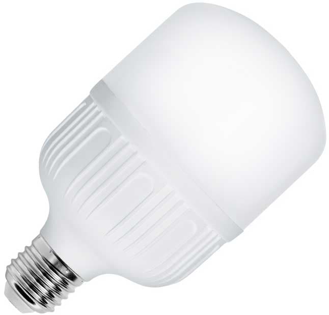 LED sijalica 30W Hladno bela E27 LS-T100-CW-E27/30