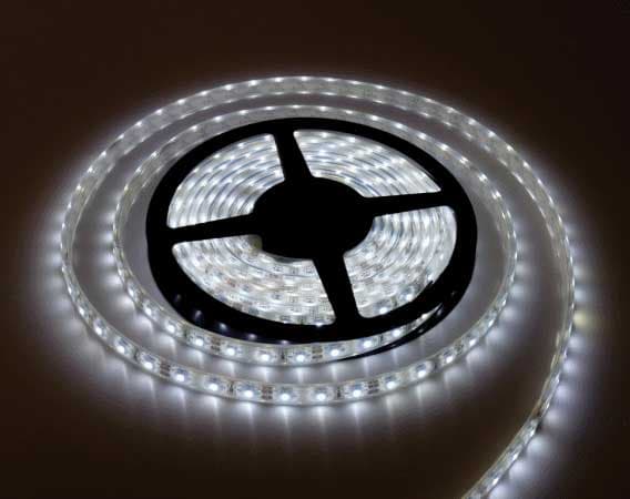 LED traka Hladno bela 60 LED/m 6W/m 5m kotur IP20 XLED2835W-60