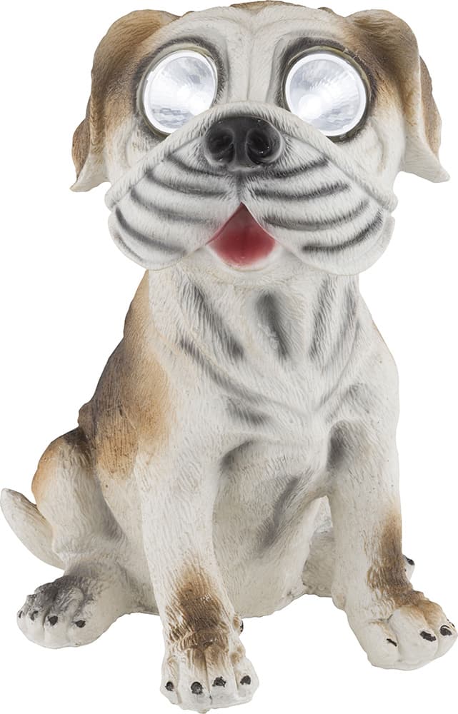 Globo solarna lampa pas