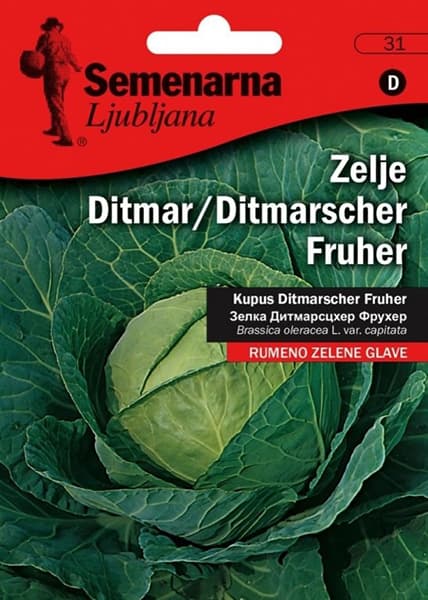 Povrće - seme 50g - Kupus Ditmar - Brassica oleracea var. capitata L.