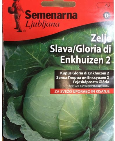 Povrće - seme - Kupus Slava - Brassica oleracea var. capitata L.- 42