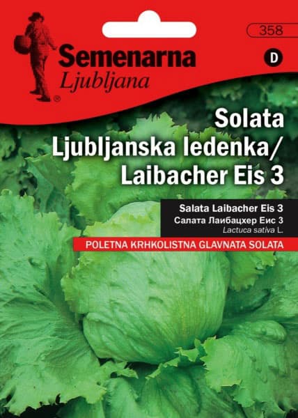 Seme 5 kesica - Zelena salata ljubljanska ledenka - Lactuca sativa L. 354