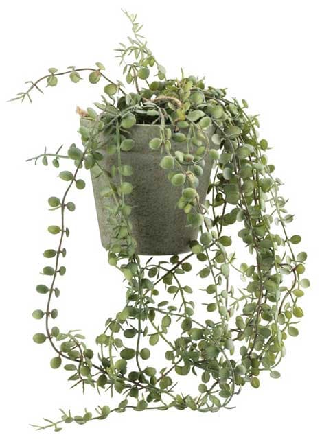 Veštačka lozica Biljka sa saksijom