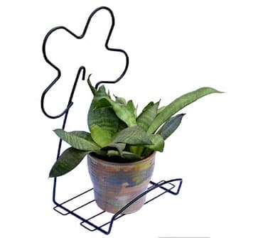 Zidna korpa za cveće Ivana crna 1488 3kom