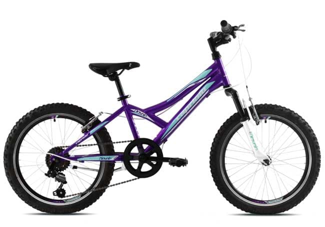 Dečiji bicikl Capriolo Diavolo 200 FS 920297-11