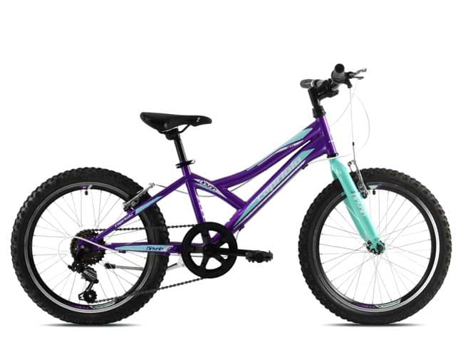 Dečiji bicikl Capriolo Diavolo 200 920293-11